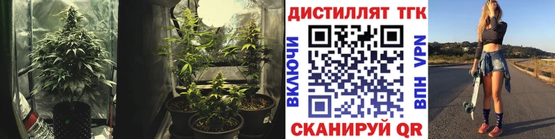 кракен ТОР  Анжеро-Судженск  ТГК THC oil 